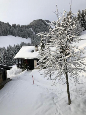 Chalet LYS Apartment 14 Rue Sigma